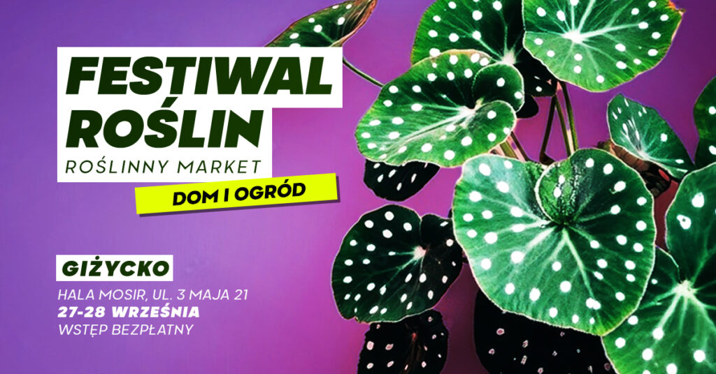 festiwal roslin