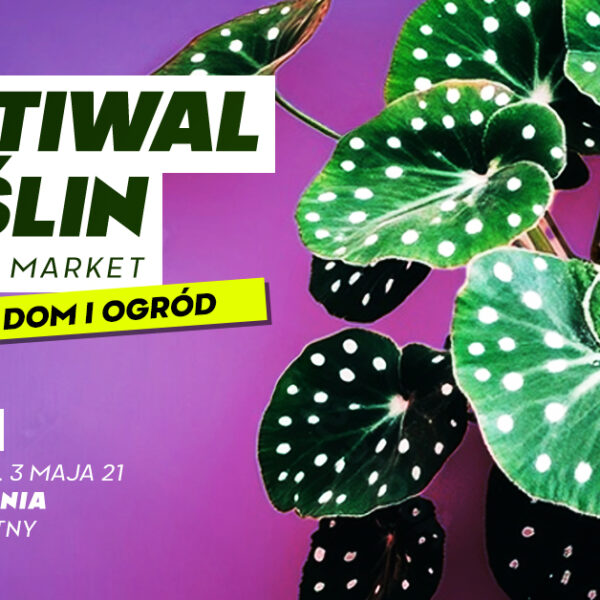 festiwal roslin