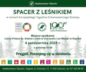 spacer z leśkiem