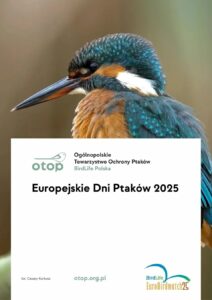 europejskie dni ptakow