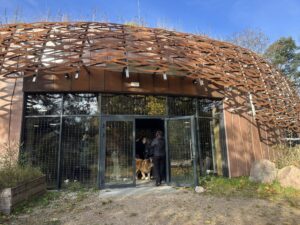 Kumak w Urwitałcie – mazurskie miejsce, które warto poznać