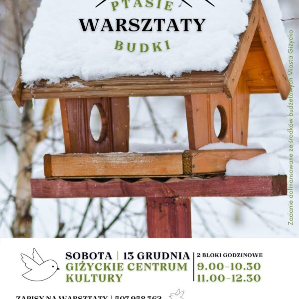 Warsztaty budowania karmników i budek lęgowych – zostań ptasim deweloperem!