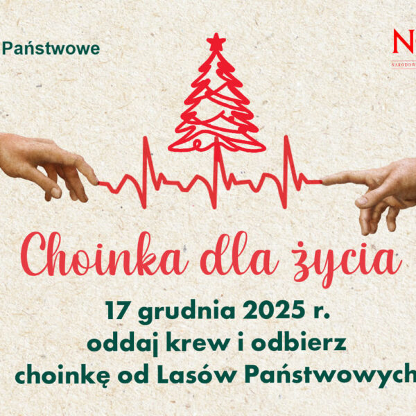 📅 18.12.2025📍 ul. Bohaterów Westerplatte 4Choinka dla życia w Giżycku – oddaj krew 18 grudnia i odbierz świąteczne drzewko