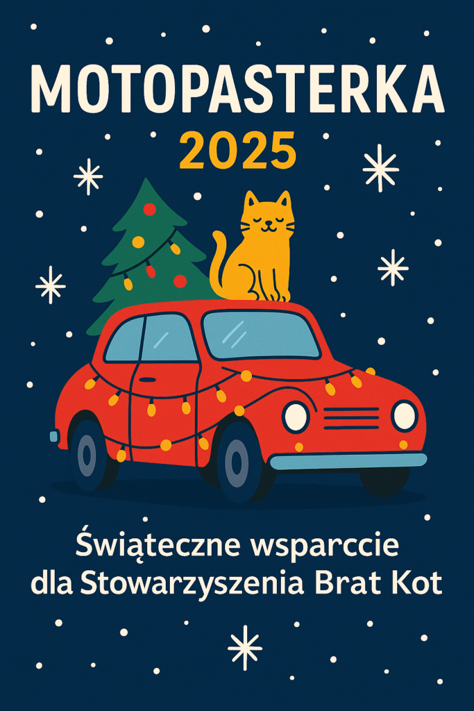 📅 26.12.2025📍 Galeria M6Motopasterka 2025 w Giżycku – świąteczne spotkanie fanów motoryzacji