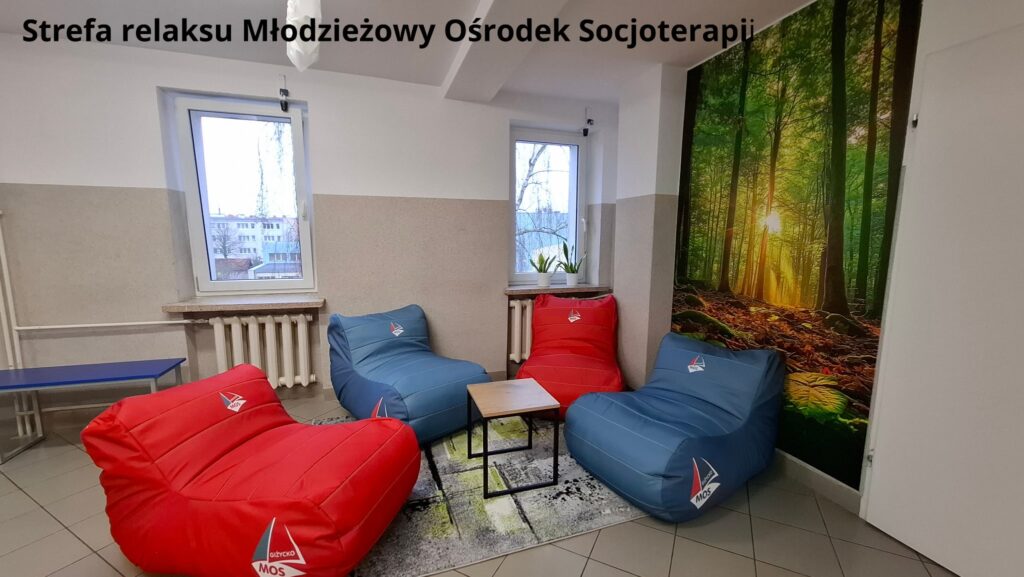 Uczniowski Budżet Obywatelski w Powiecie Giżyckim – uczniowie zdecydowali, na co wydać środki