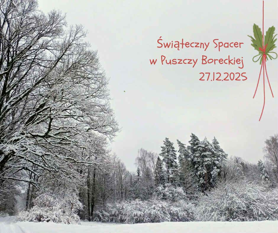 📅 27.12.2025📍 Puszcza BoreckaŚwiąteczny spacer w Puszczy Boreckiej. Zimowa wędrówka do królewskiego dębu