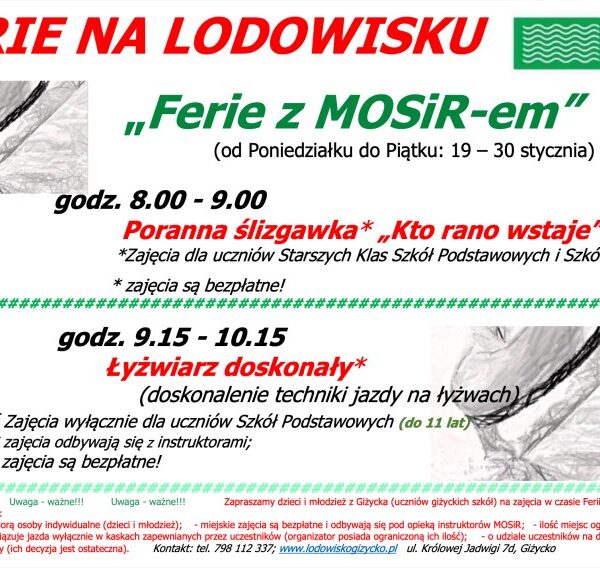 Ferie zimowe na lodowisku!