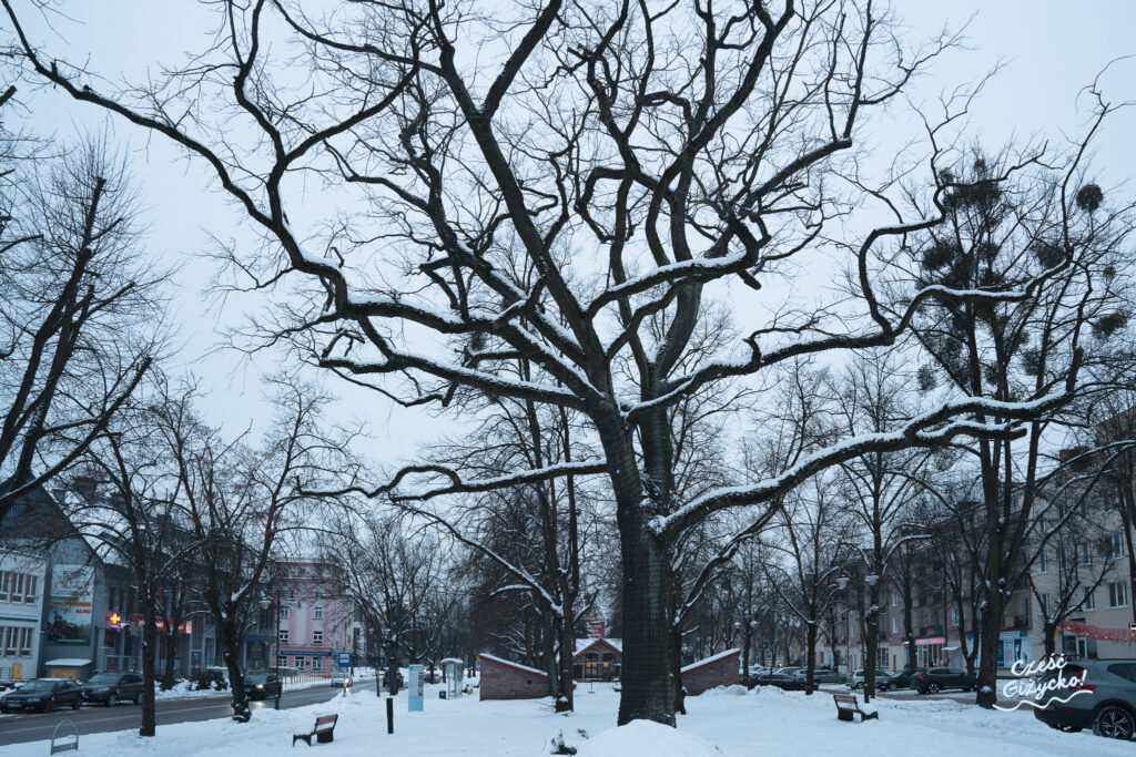 Ferie zimowe Giżycko