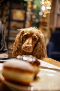 Tłusty Czwartek w Giżycku pełen pączkowych pokus – Masz już swojego faworyta?