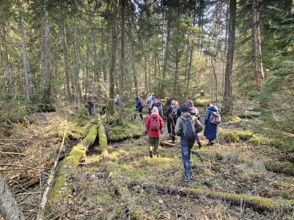 📅 21.03.2026📍 Puszcza BoreckaSpacer „Od świtu do zmierzchu w Puszczy Boreckiej”