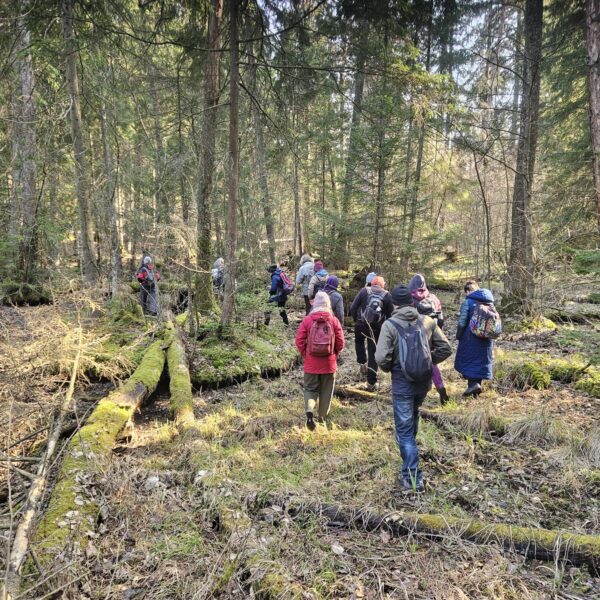 Spacer „Od świtu do zmierzchu w Puszczy Boreckiej”📅 21.03.2026📍 Puszcza Borecka