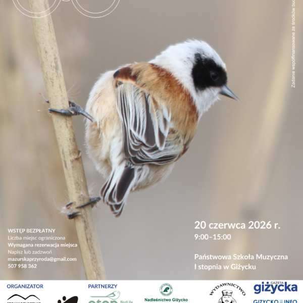 10. Giżycka Konferencja Ornitologiczna. Jubileuszowe spotkanie miłośników ptaków już 20 czerwca