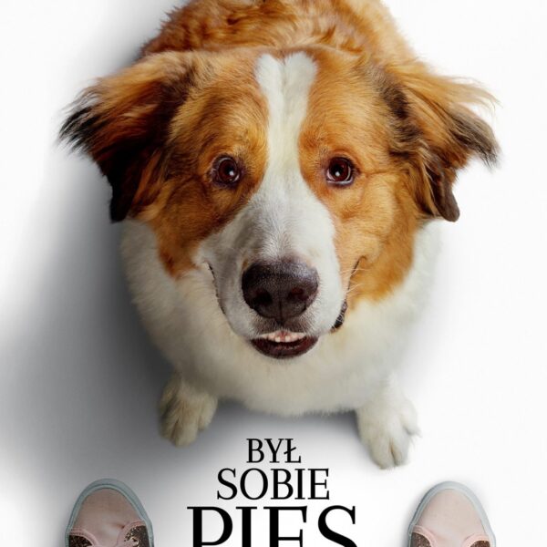 Kino letnie w Giżycku: „Był sobie pies 2” w Porcie Ekomarina