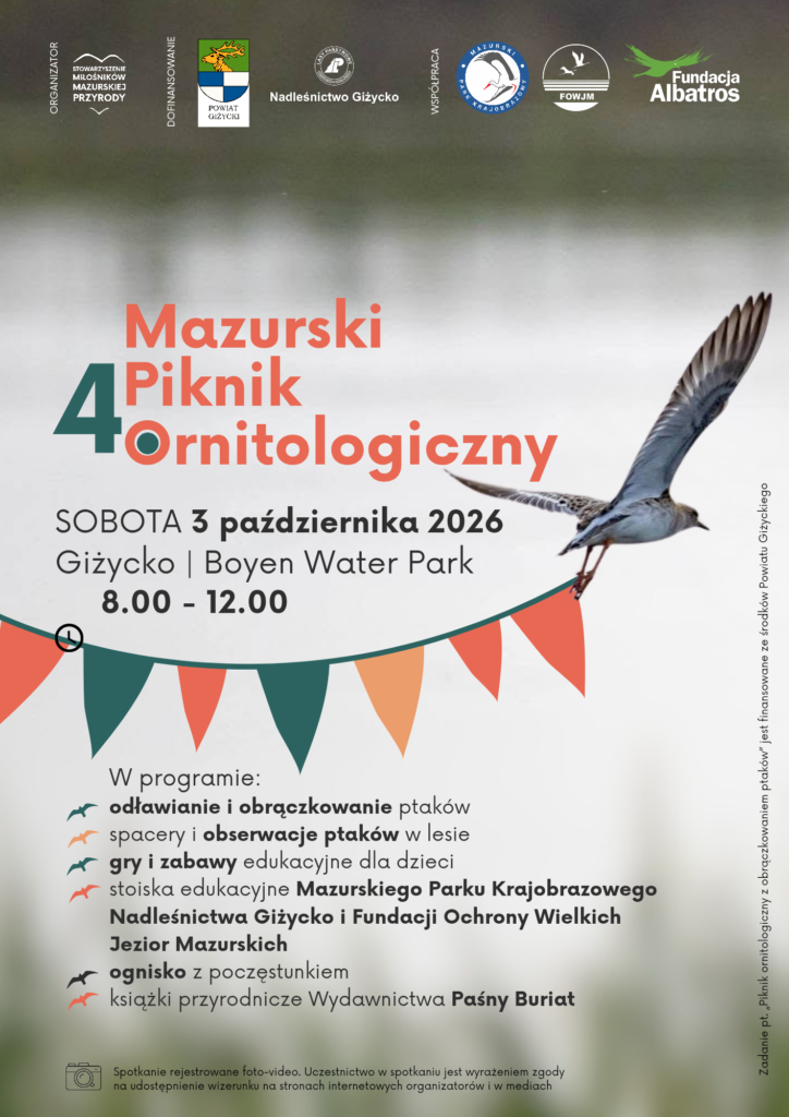Plakat 4. Mazurskiego Pikniku Ornitologicznego: 3 października 2026, Boyen Water Park, godz. 8.00-12.00