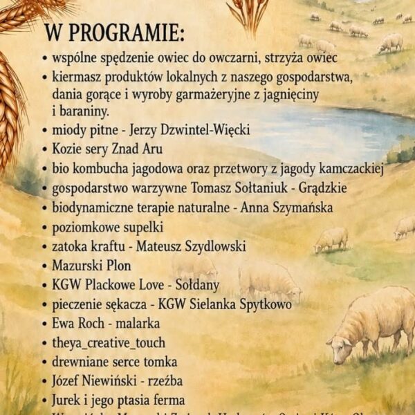 Plakat V Redyku Mazurskiego w Sołdanach 26 września 2026